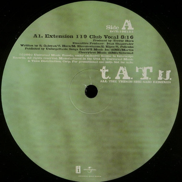 All The Things She Said (Remixes)