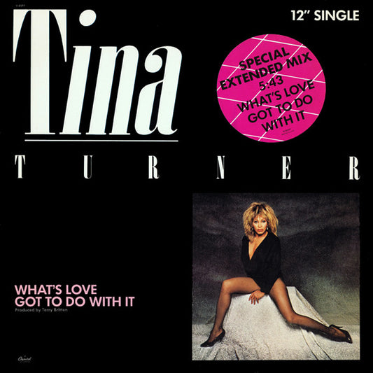 What's Love Got To Do With It (Special Extended Mix)