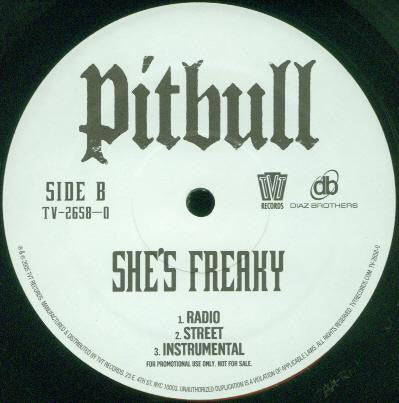 Pitbull - 305 Anthem / She's Freaky