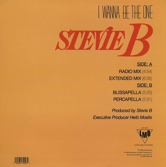 Stevie B - I Wanna Be The One