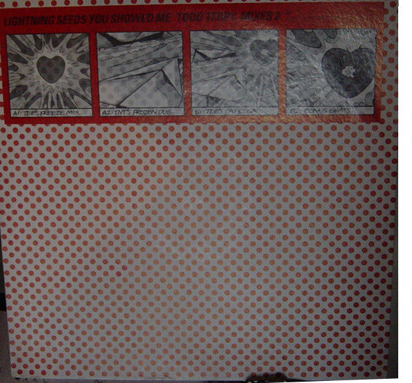 You Showed Me (Todd Terry Mixes 2)