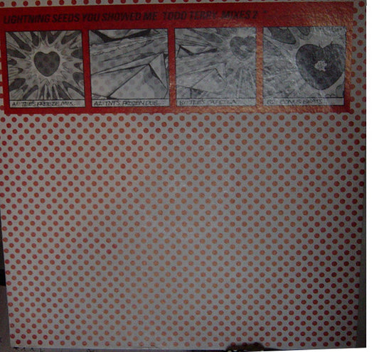 You Showed Me (Todd Terry Mixes 2)