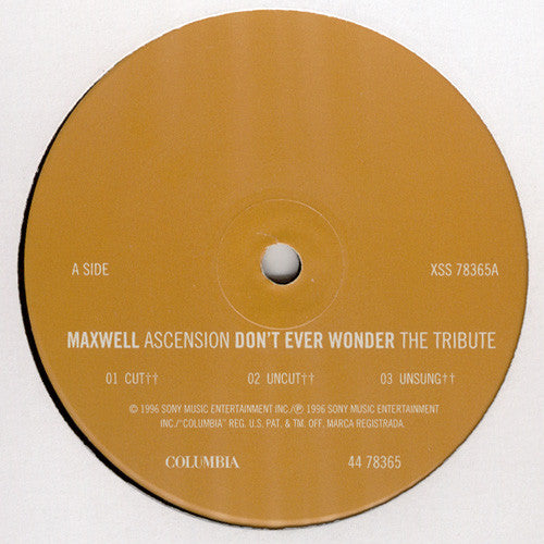 Maxwell - Ascension (Don't Ever Wonder) The Tribute