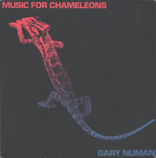 Music For Chameleons