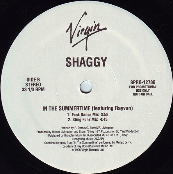 Shaggy - In The Summertime