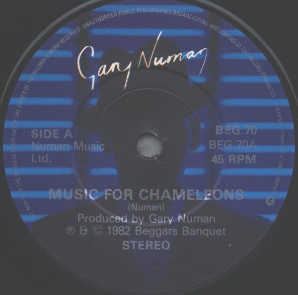 Music For Chameleons