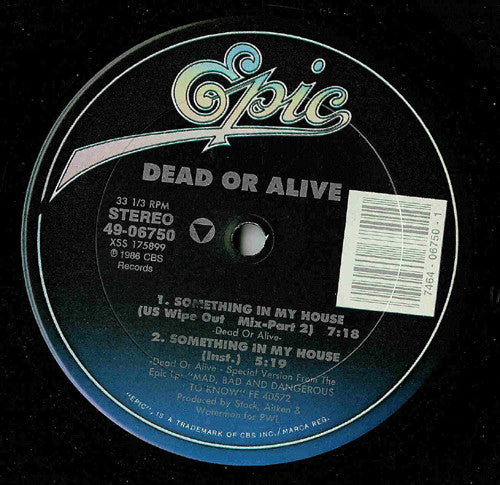 Dead Or Alive - Something In My House