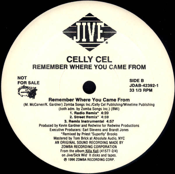 Celly Cel - Remember Where You Came From