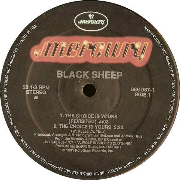 Black Sheep - The Choice Is Yours
