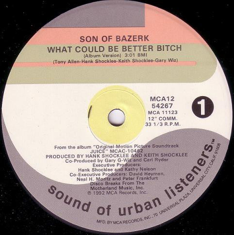 Son Of Bazerk - What Could Be Better Bitch