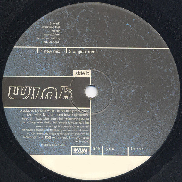 Josh Wink - Are You There...