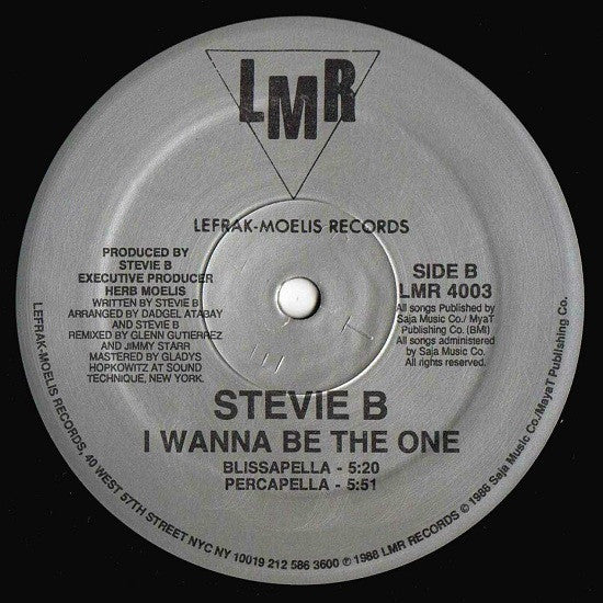 Stevie B - I Wanna Be The One