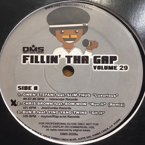 Various - Fillin' Tha Gap Volume 29