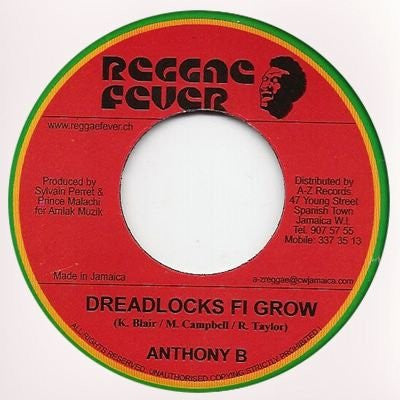 Anthony B - Dreadlocks Fi Grow
