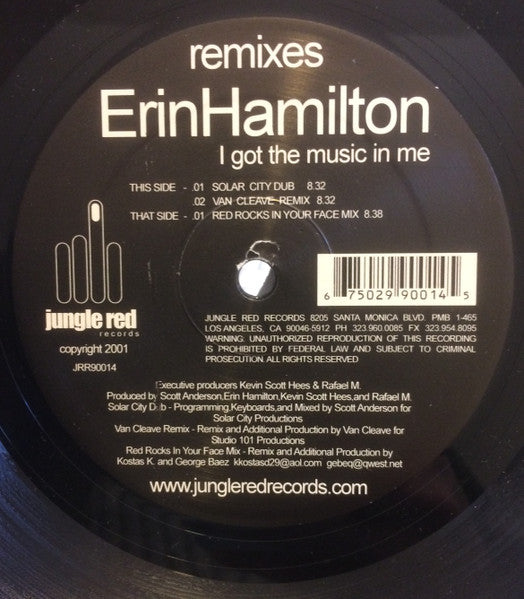 Erin Hamilton - I Got The Music In Me (Remixes)
