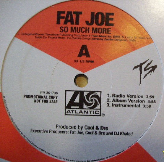 Fat Joe - So Much More