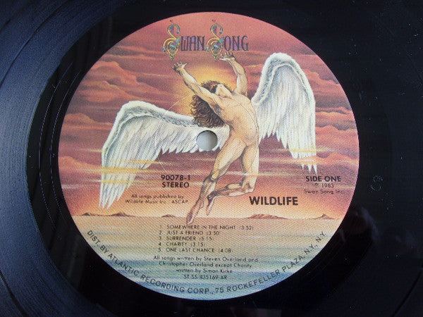 Wildlife (8) - Wildlife