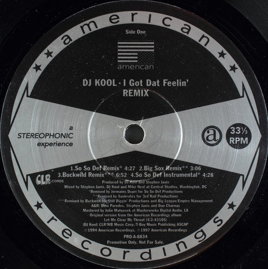 DJ Kool - I Got Dat Feelin' (Remix)