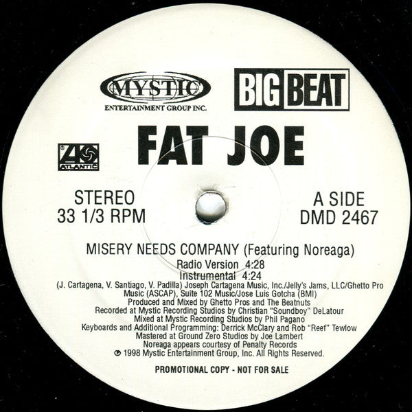 Fat Joe - Misery Needs Company