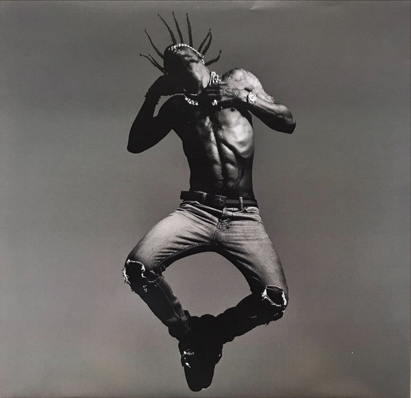 Travis Scott (2) - Birds In The Trap Sing Mcknight