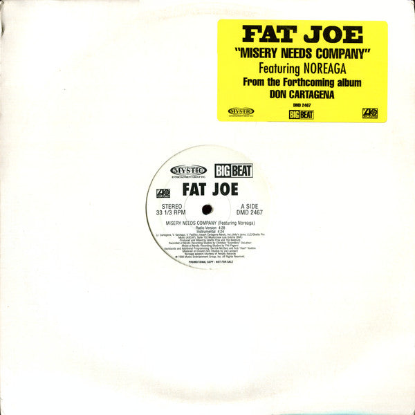 Fat Joe - Misery Needs Company