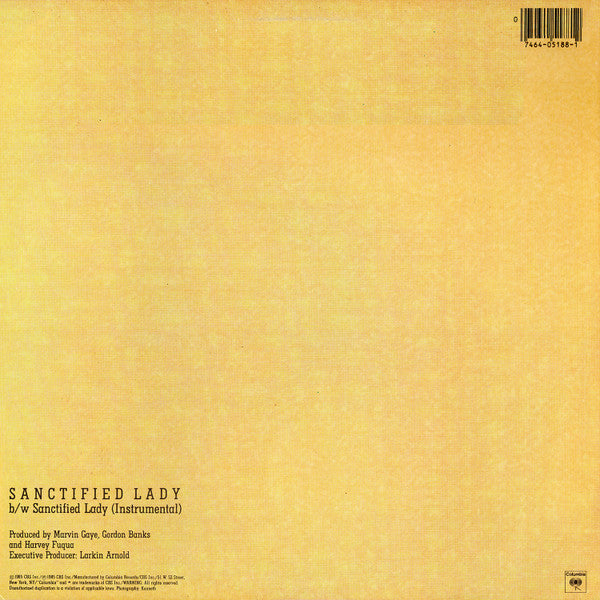 Marvin Gaye - Sanctified Lady