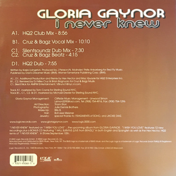 Gloria Gaynor - I Never Knew