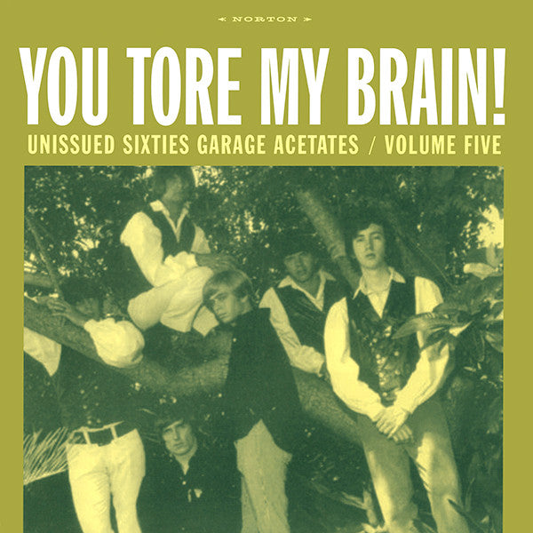 Various - You Tore My Brain! Unissued Sixties Garage Acetates / Volume Five