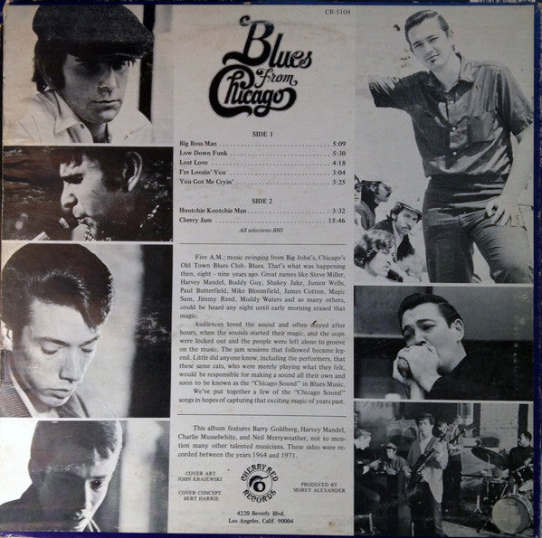 Harvey Mandel - Blues From Chicago