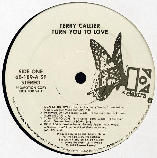 Terry Callier - Turn You To Love