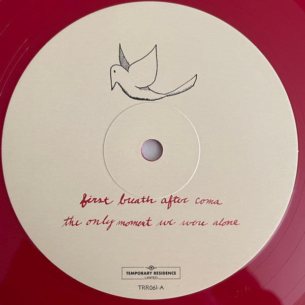 Explosions In The Sky - The Earth Is Not A Cold Dead Place