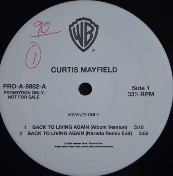 Curtis Mayfield - Back To Living Again