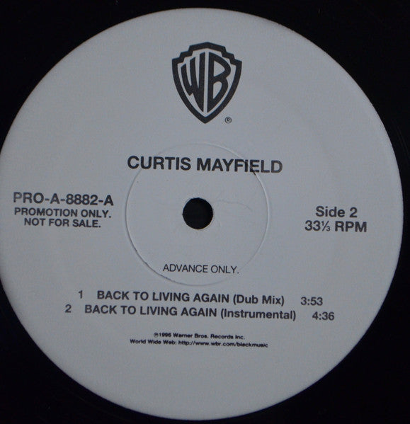 Curtis Mayfield - Back To Living Again