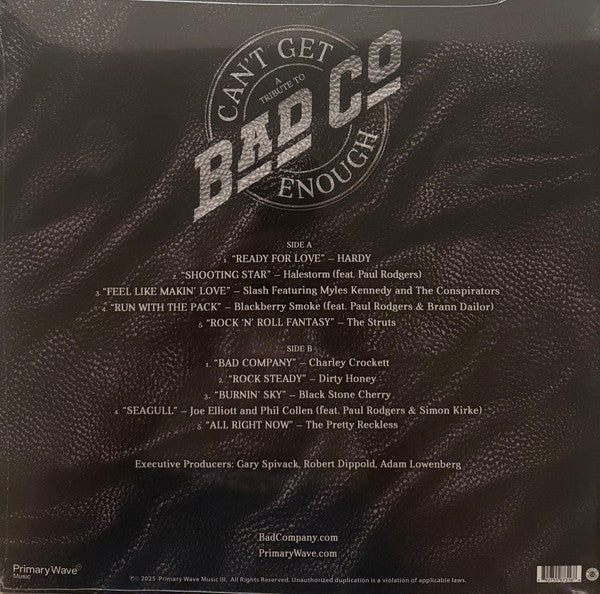 Various - Can't Get Enough: A Tribute To Bad Company