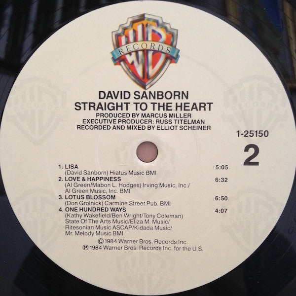 David Sanborn - Straight To The Heart