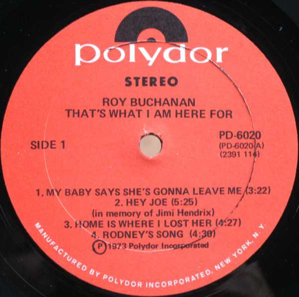 Roy Buchanan - That's What I Am Here For