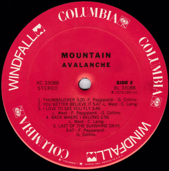 Mountain - Avalanche