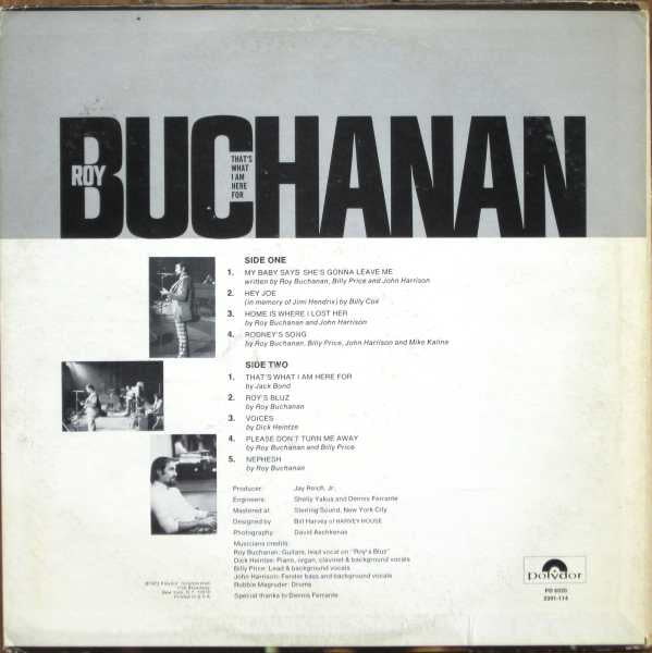 Roy Buchanan - That's What I Am Here For