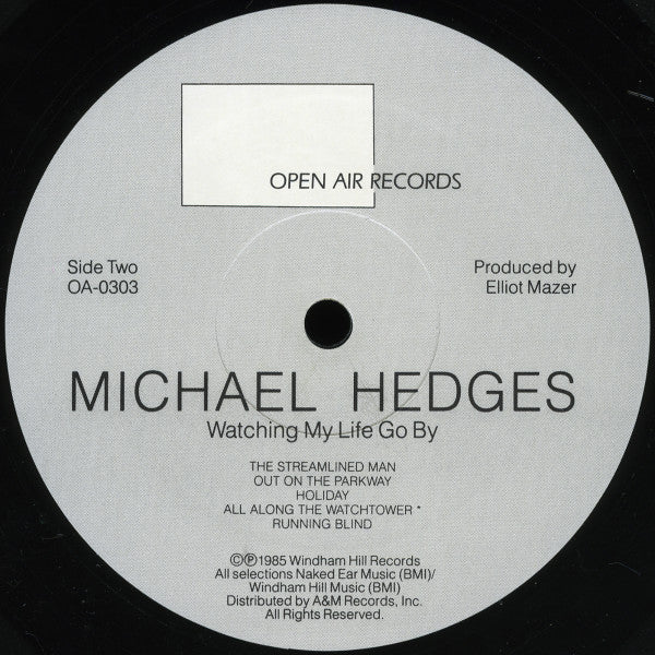 Michael Hedges - Watching My Life Go By