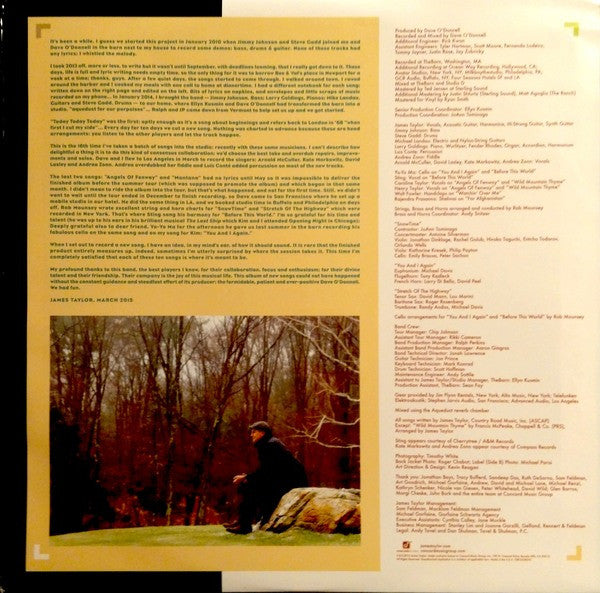 James Taylor - Before This World (180g)