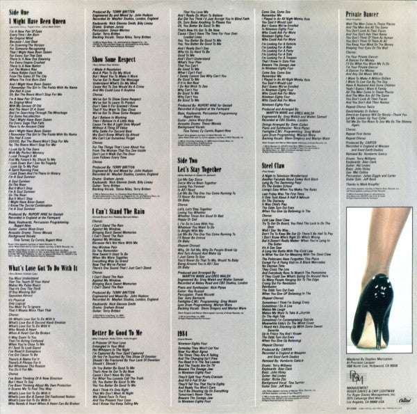 Tina Turner - Private Dancer