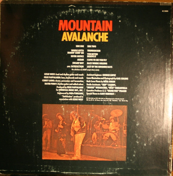 Mountain - Avalanche