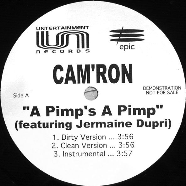 Cam'ron - A Pimp's A Pimp / Stand Up