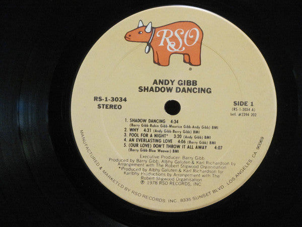 Andy Gibb - Shadow Dancing