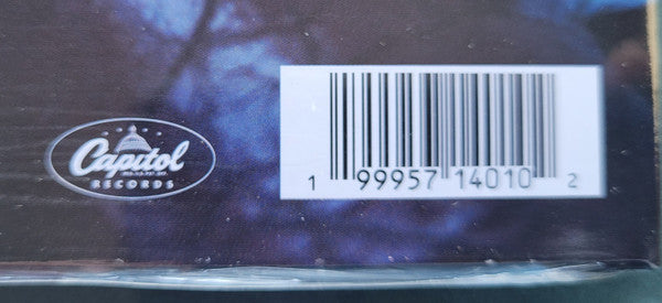 Everybody's Gotta Learn Sometime