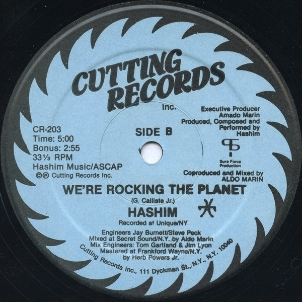 Hashim - We're Rocking The Planet