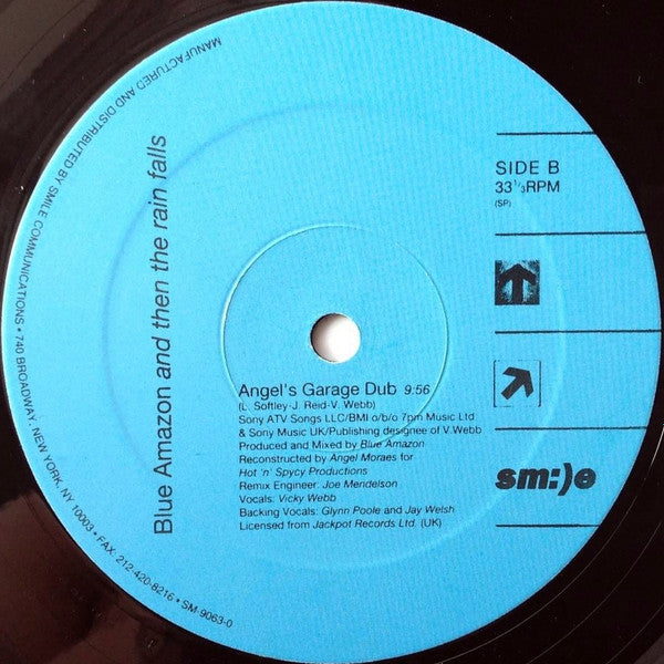 Blue Amazon - And Then The Rain Falls