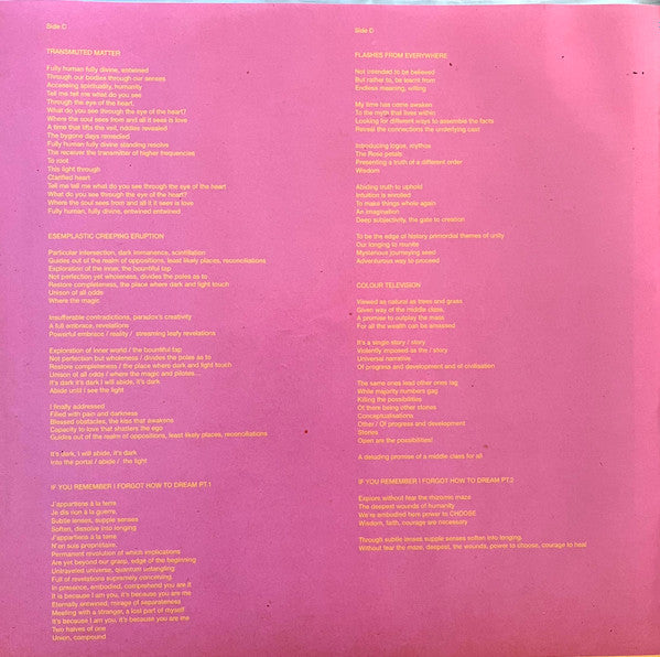 Stereolab - Instant Holograms On Metal Film