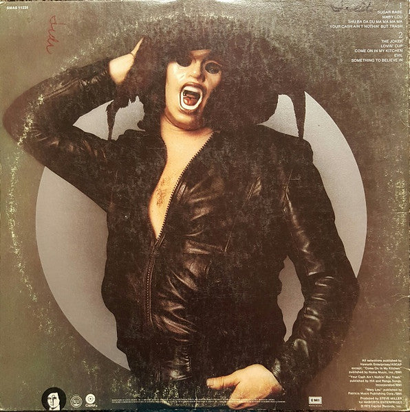 Steve Miller Band - The Joker