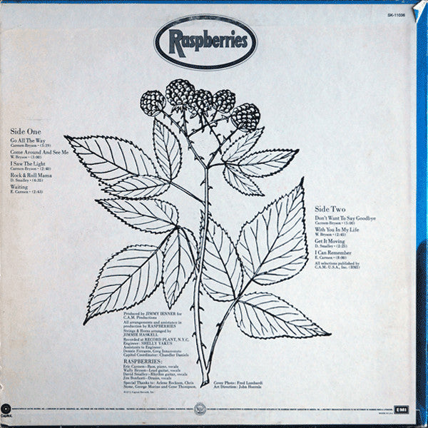 Raspberries - Raspberries